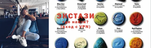 гашик Дмитров