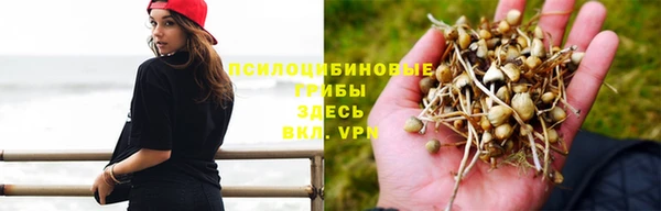 прущая мука Дмитриев