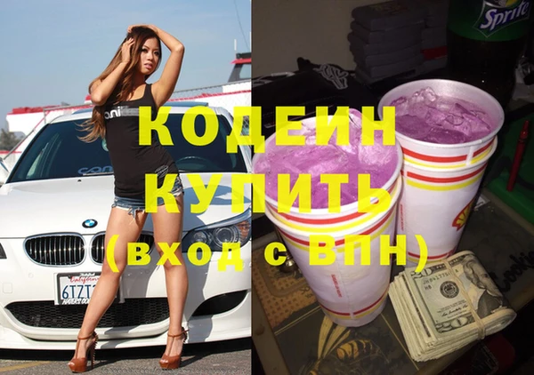 гашик Дмитров