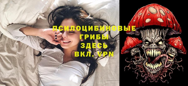 прущая мука Дмитриев