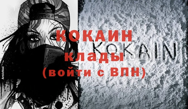 гашик Дмитров