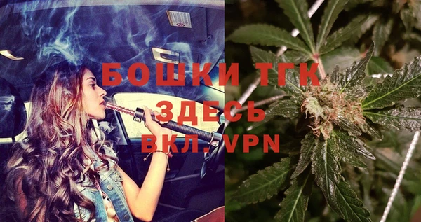 гашик Дмитров