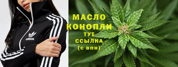прущая мука Дмитриев